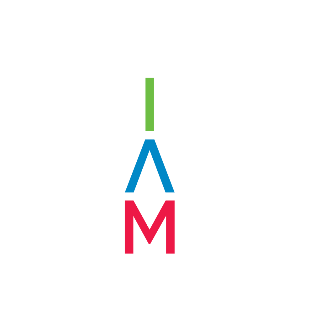 Constelação familiar e empresarial - Paulo Galvão